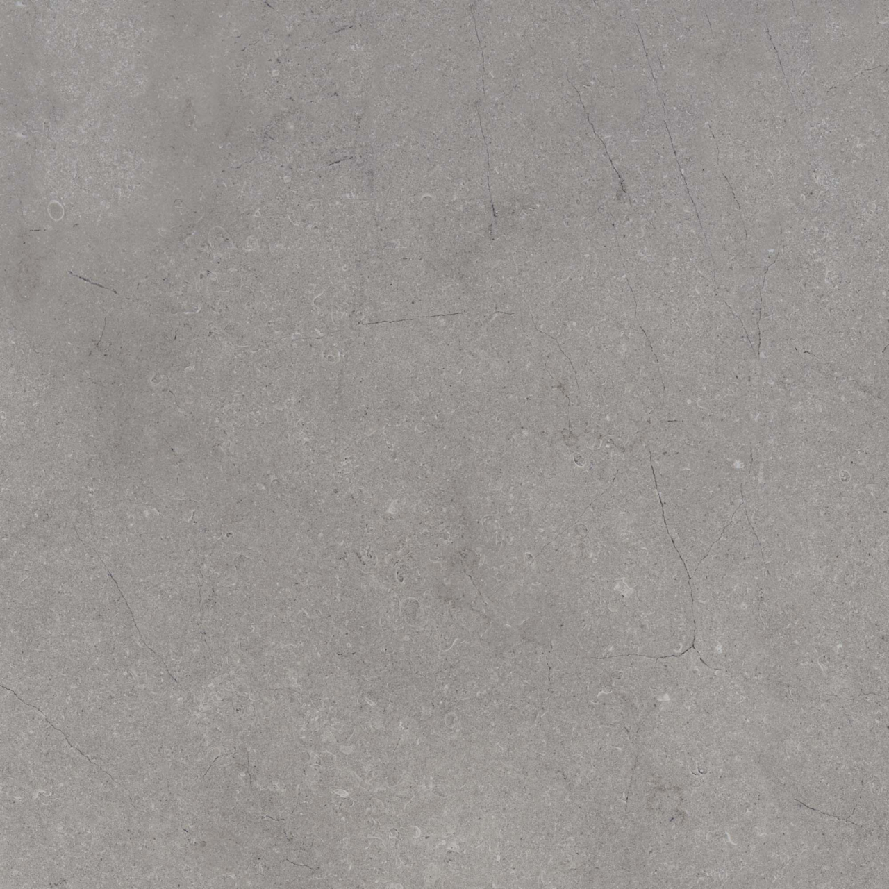 Gresie exterior 2 cm Everscape Fossil Grey RT 6031 K8K0, 60x60 Outdoor gri, 0.73mp/cut [4]