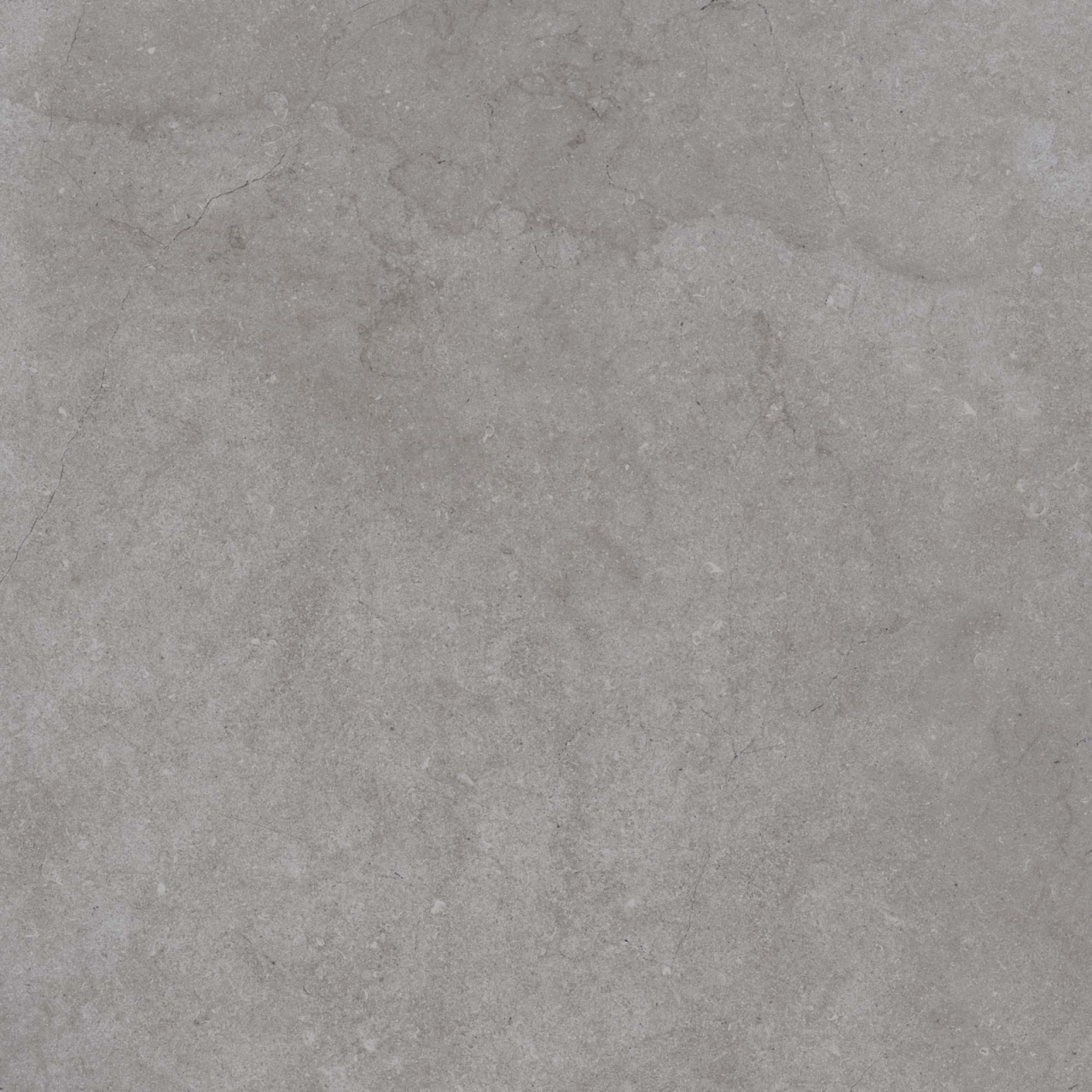 Gresie exterior 2 cm Everscape Fossil Grey RT 6031 K8K0, 60x60 Outdoor gri, 0.73mp/cut [3]