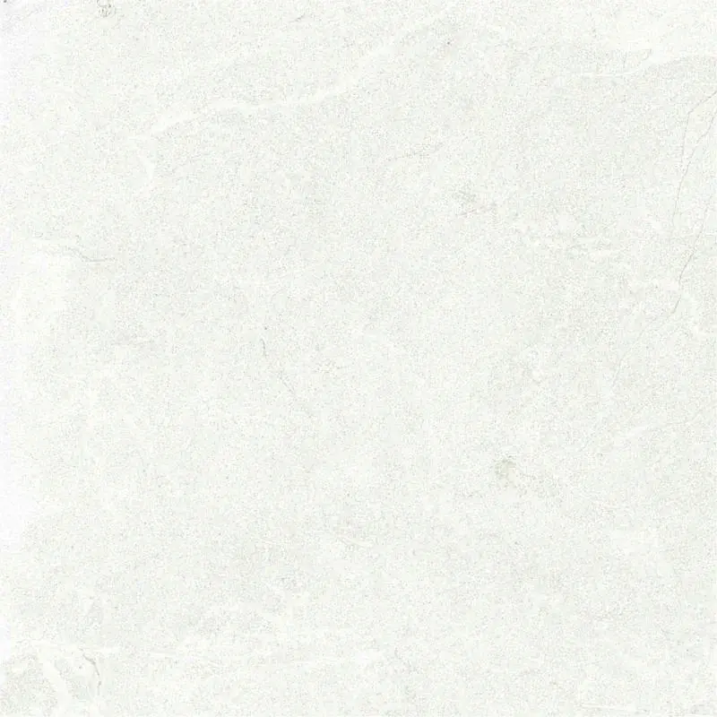 Gresie exterior 2 cm Stoneline Light Grey 3618 , 60x60 Outdoor gri [2]