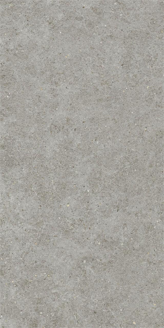Gresie portelanata, Boost Stone Grey Matte A6Q8 60×120 cm, gri, finisaj mat [2]