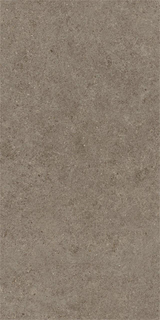 Gresie portelanata, Boost Stone Taupe Matte A6Q6 60×120 cm, maro, finisaj mat [2]
