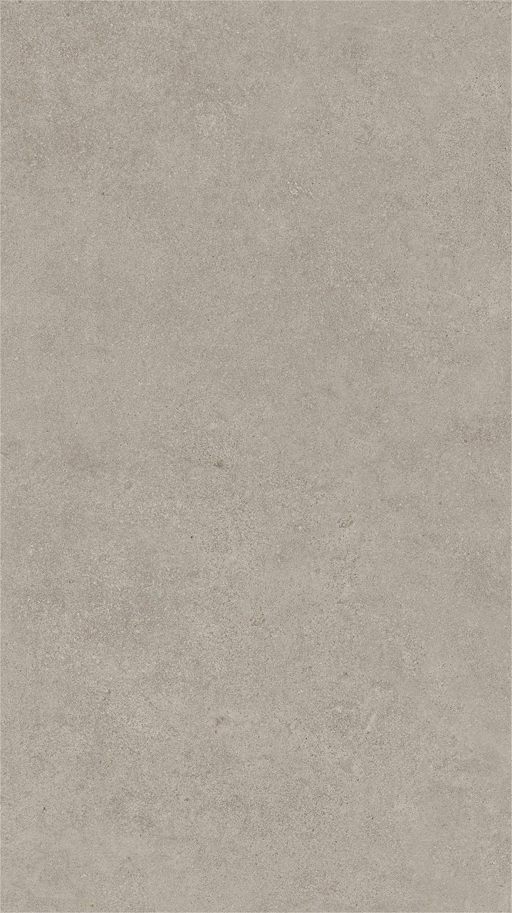 Gresie portelanata, Boost Vision Grey Matte HCJW 60×120 cm, gri, finisaj mat [2]