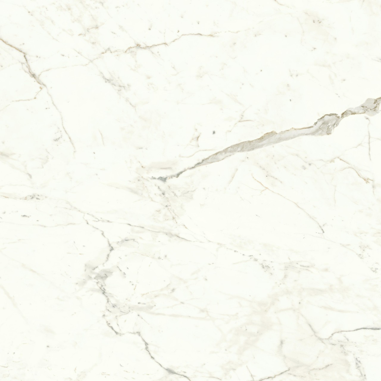 Gresie portelanata, Marvel Shine Calacatta Prestigio AXX9-UQ4, 120×120 cm, alb, finisaj lucios [2]