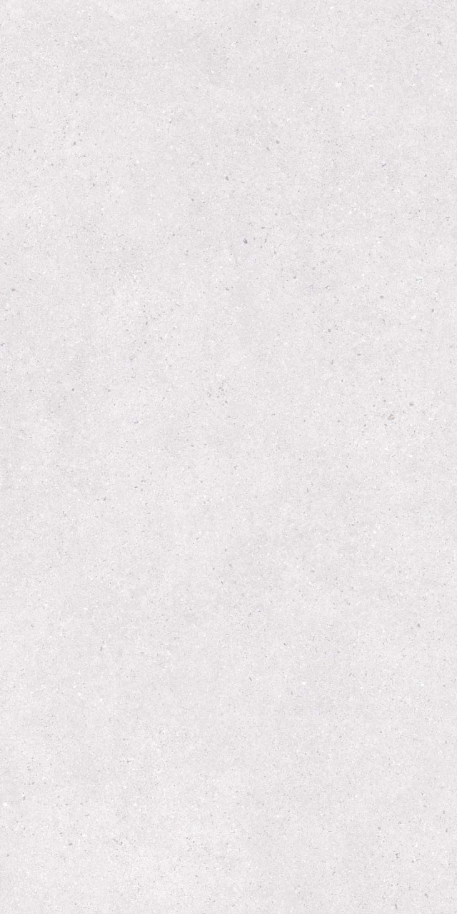 Gresie portelanata tip ciment MTS LG 2204, 60x120 cm, gri, finisaj mat [3]