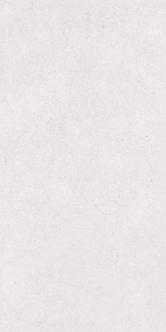 Gresie portelanata tip ciment MTS LG 2204, 60x120 cm, gri, finisaj mat [2]