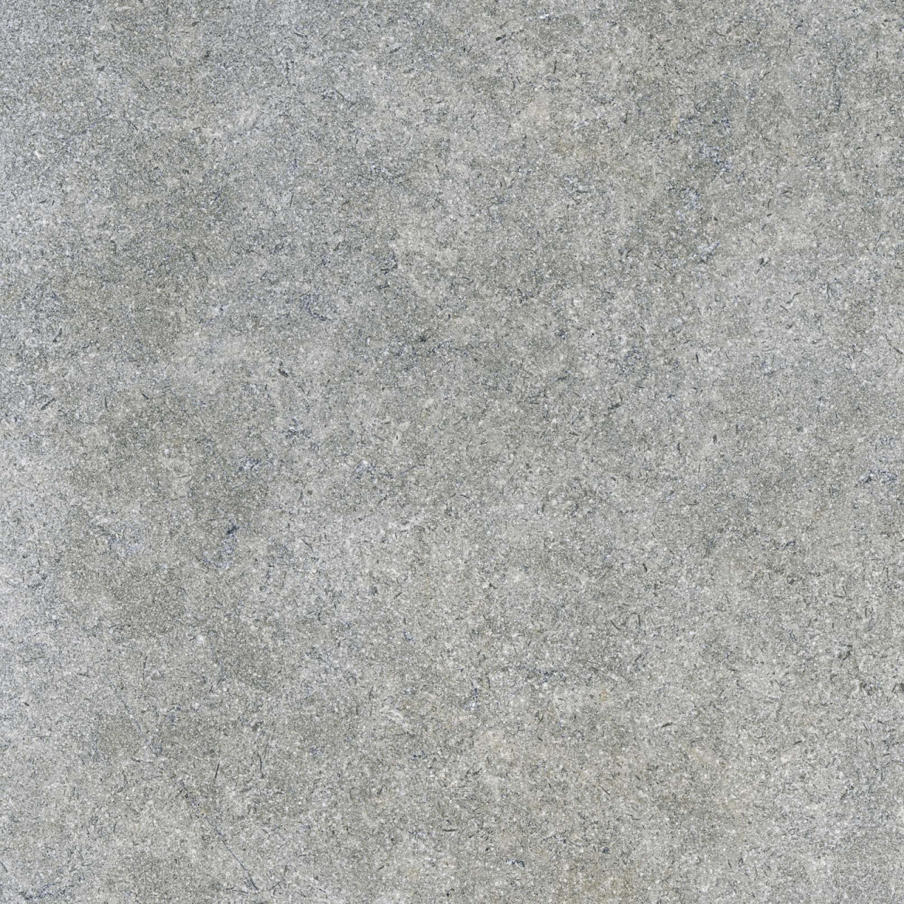 Gresie portelanata tip ciment, Traffic Grey 6486, 60X60 cm, gri, finisaj mat [3]