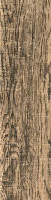 Gresie portelanata tip lemn, Denver Fossil Brown 6548, 15.5 X 60.5, maro, 1.03mp/cut [3]