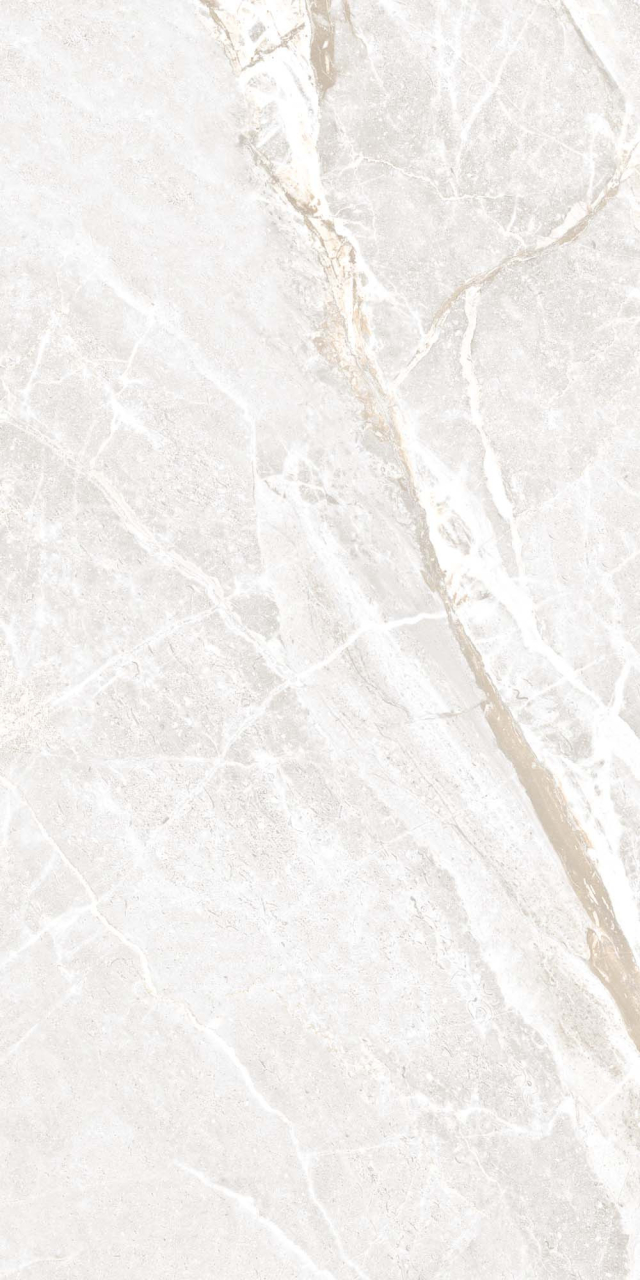 Gresie portelanata tip marmura P2156, 60x120 cm, alb, finisaj mat [4]