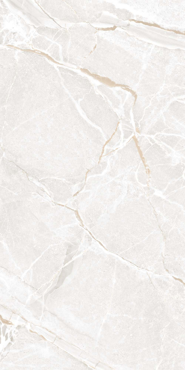 Gresie portelanata tip marmura P2156, 60x120 cm, alb, finisaj mat [2]