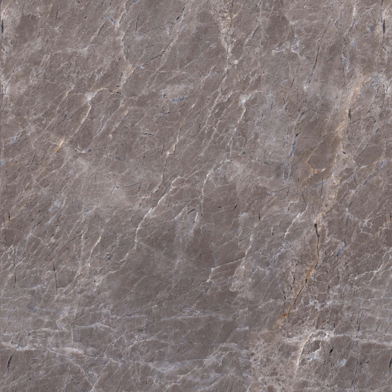 Gresie portelanata tip marmura Marquina Brown 6216, 45x45 cm, maro, finisaj mat [2]