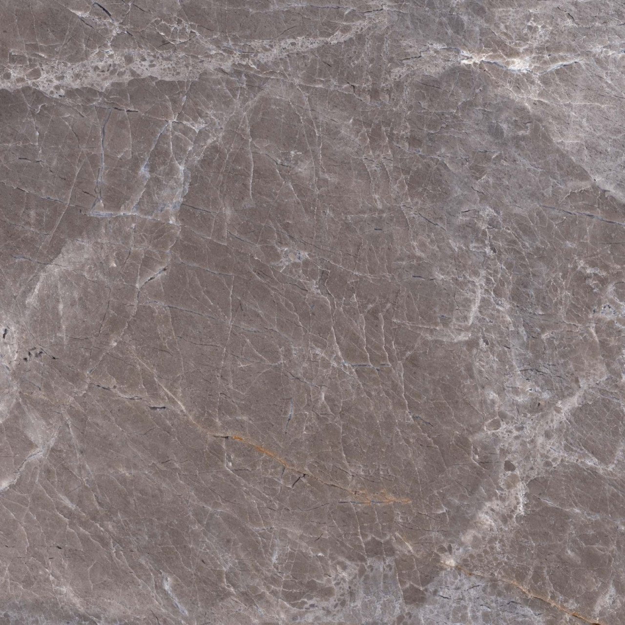 Gresie portelanata tip marmura Marquina Brown 6216, 45x45 cm, maro, finisaj mat [3]