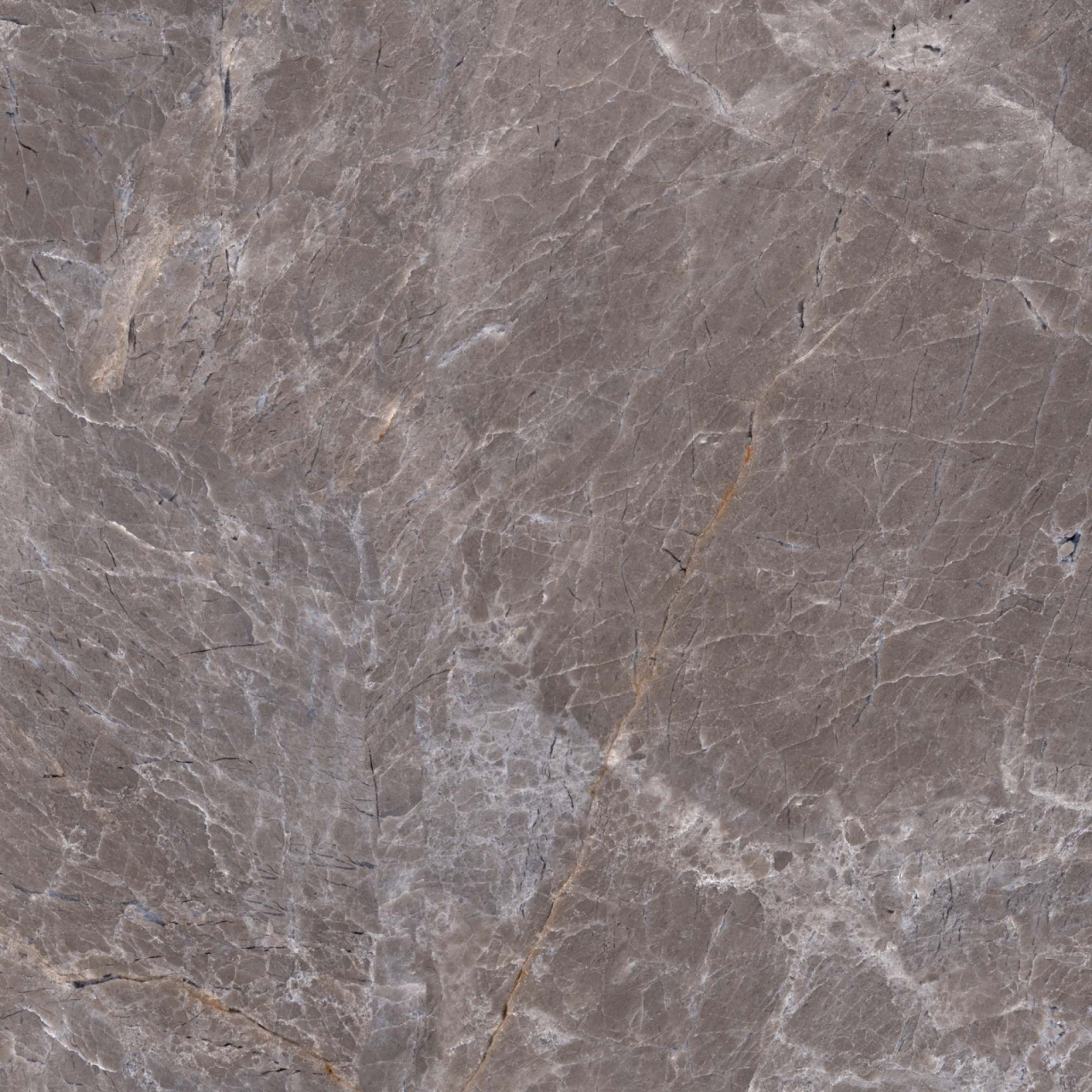 Gresie portelanata tip marmura Marquina Brown 6216, 45x45 cm, maro, finisaj mat [6]