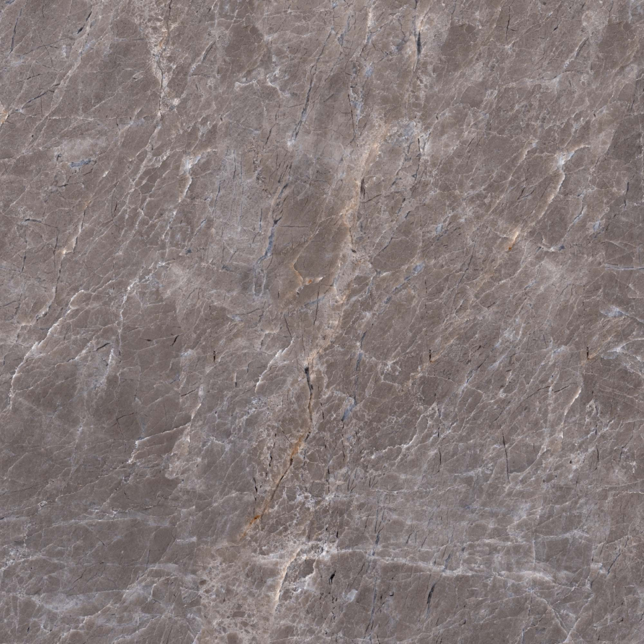 Gresie portelanata tip marmura Marquina Brown 6216, 45x45 cm, maro, finisaj mat [5]