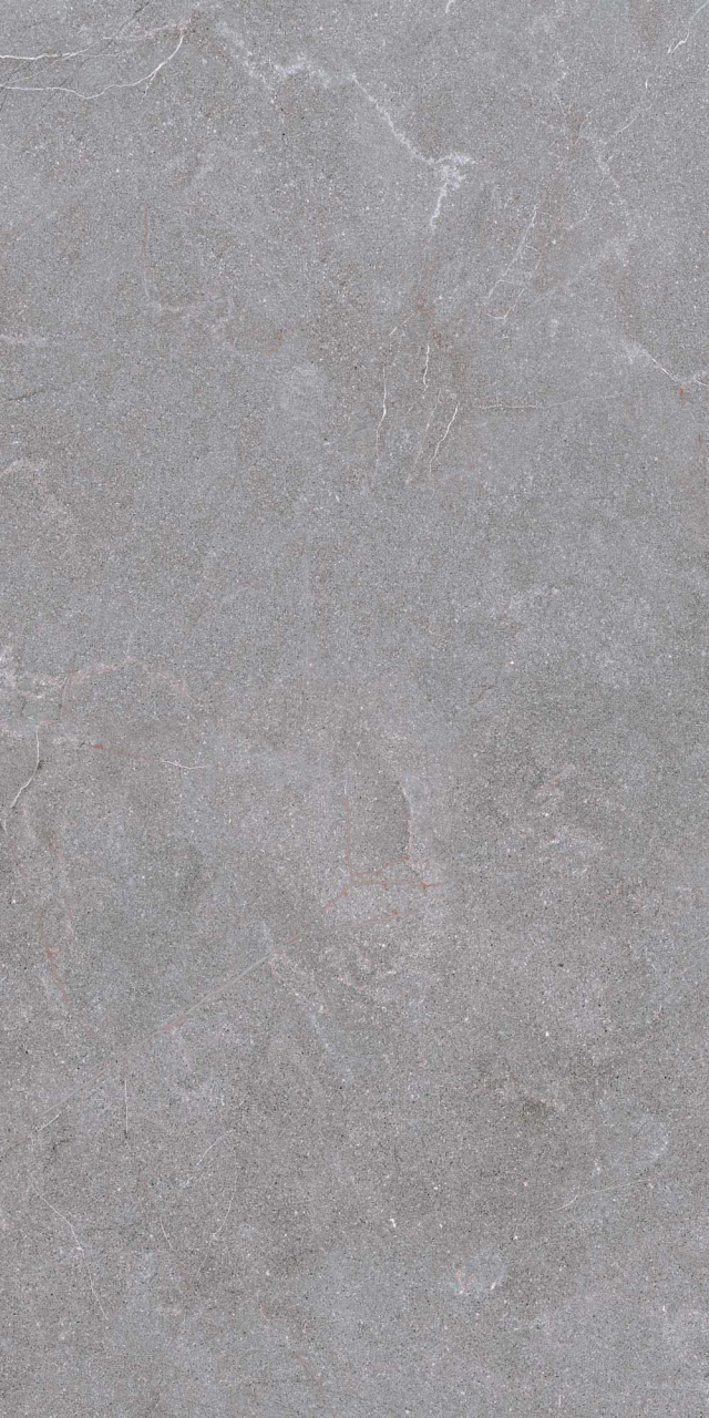 Gresie rectificata antiderapanta exterior, STN OG 6258, 60x120 cm, gri, finisaj mat [2]