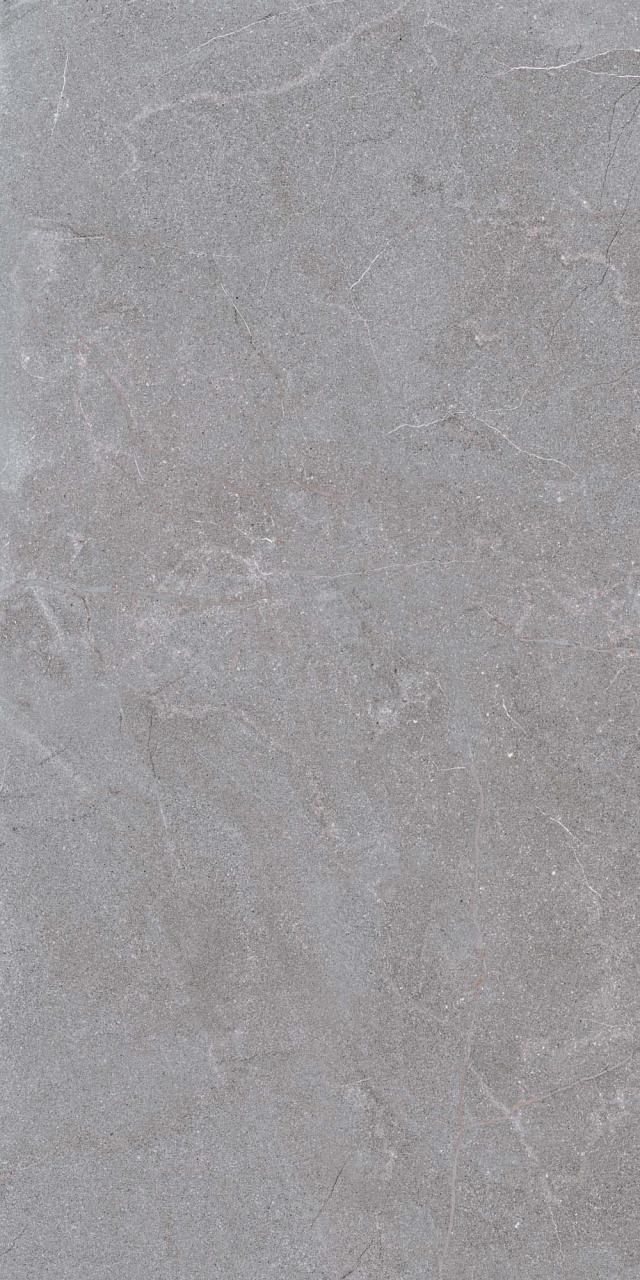 Gresie rectificata antiderapanta exterior, STN OG 6258, 60x120 cm, gri, finisaj mat [3]