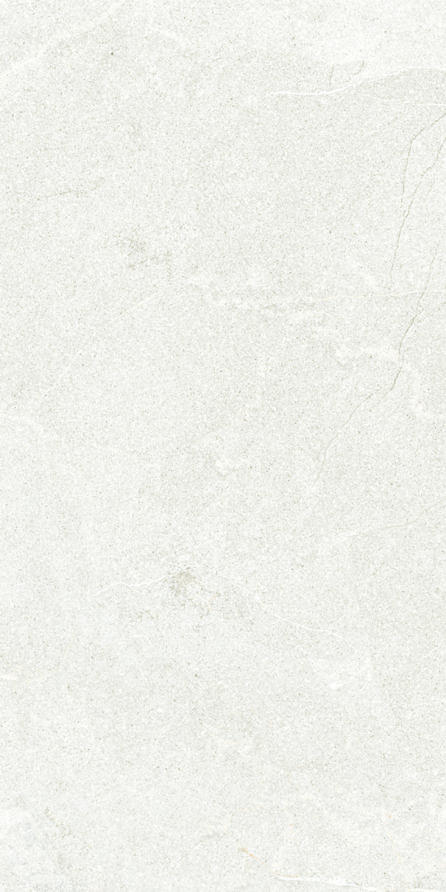 Gresie rectificata antiderapanta exterior tip piatra, Stoneline Outdoor Light Grey 9841, 30X60 cm, gri deschis [2]