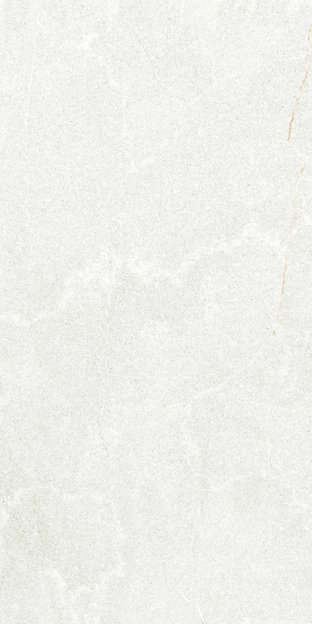 Gresie rectificata antiderapanta exterior tip piatra, Stoneline Outdoor Light Grey 9841, 30X60 cm, gri deschis [5]