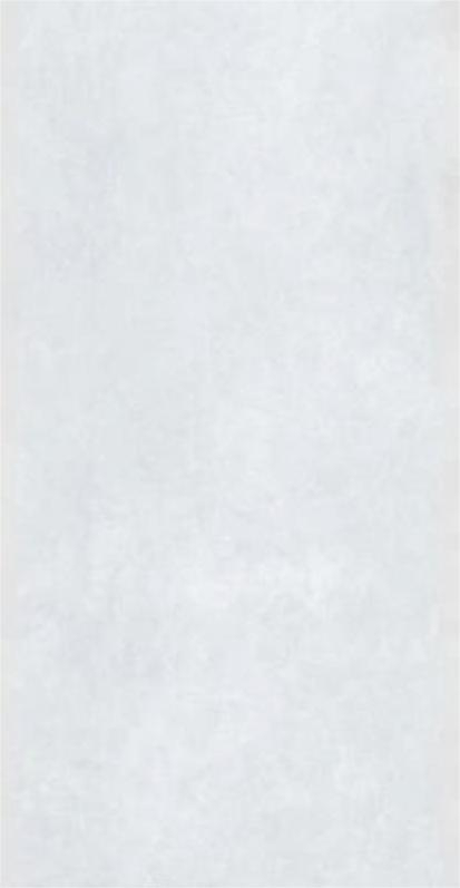 Gresie rectificata portelanata, Color White, 92491310, 60x120 cm, tip beton, alb, finisaj mat [1]
