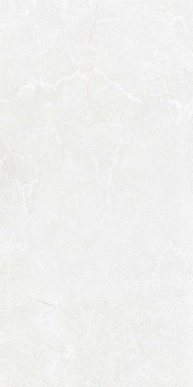 Gresie rectificata portelanata exterior tip piatra, Stoneline Light Grey 9917, 60X120 cm, gri deschis, finisaj mat [3]