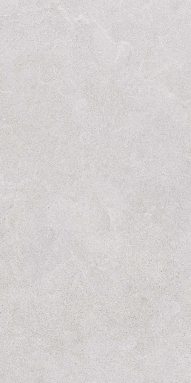 Gresie rectificata portelanata tip piatra, STN LG 9917, R9, 60X120 cm, gri deschis, finisaj mat [2]