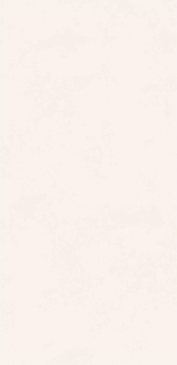Gresie rectificata tip ciment, Concept White 60x120 cm alb, finisaj mat [2]