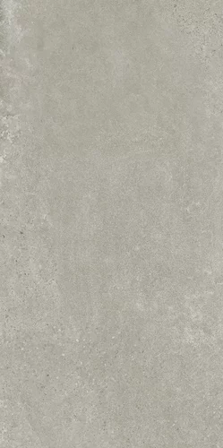 Gresie rectificata tip ciment Bergdust Grey 59.8x119.8, gri, finisaj mat [4]