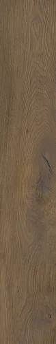 Gresie rectificata tip lemn Spacewood Chocolate 19.8 x 119.8, maro, finisaj mat [4]