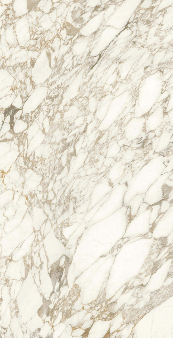 Gresie rectificata tip marmura, Anima Ever Luxury Arabesque 60X120cm, alb, finisaj lucios [2]