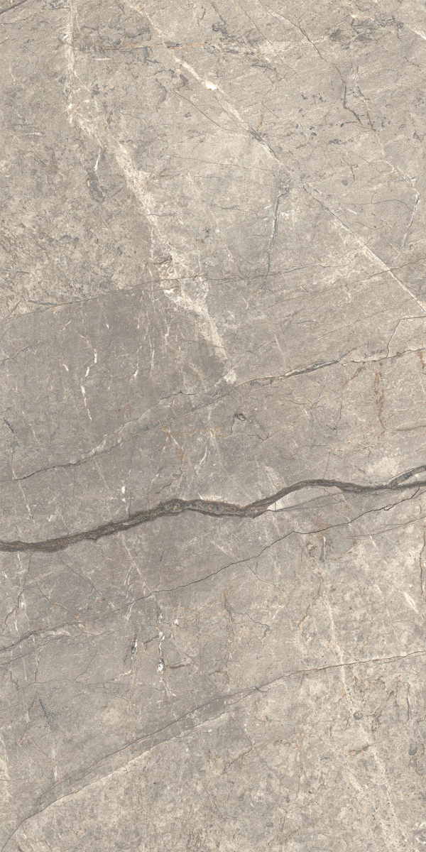 Gresie rectificata tip marmura, Anima Futura Amazing Silver 60X120cm, gri, finisaj lucios [2]