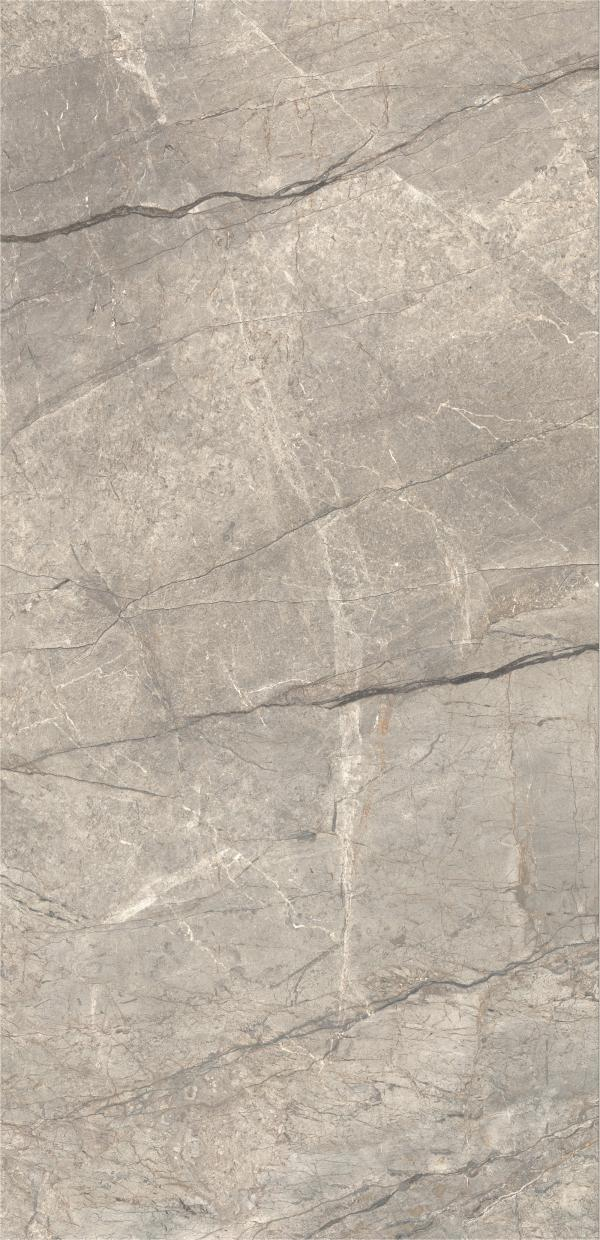 Gresie rectificata tip marmura, Anima Futura Amazing Silver 60X120cm, gri, finisaj lucios [3]