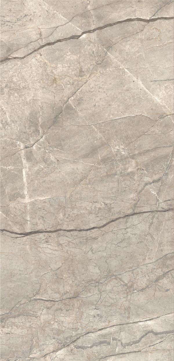 Gresie rectificata tip marmura, Anima Futura Amazing Silver 60X120cm, gri, finisaj lucios [4]