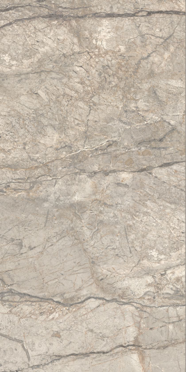 Gresie rectificata tip marmura, Anima Futura Amazing Silver 60X120cm, gri, finisaj mat [4]
