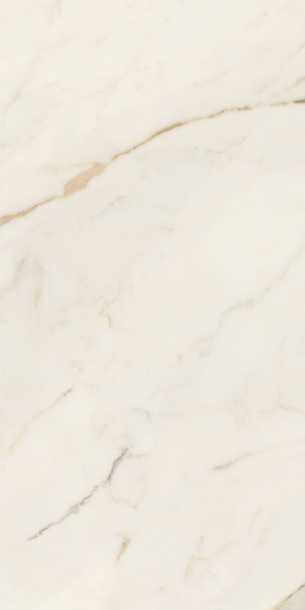 Gresie rectificata tip marmura, Anima Futura Golden White 60X120cm, alb, finisaj lucios [2]