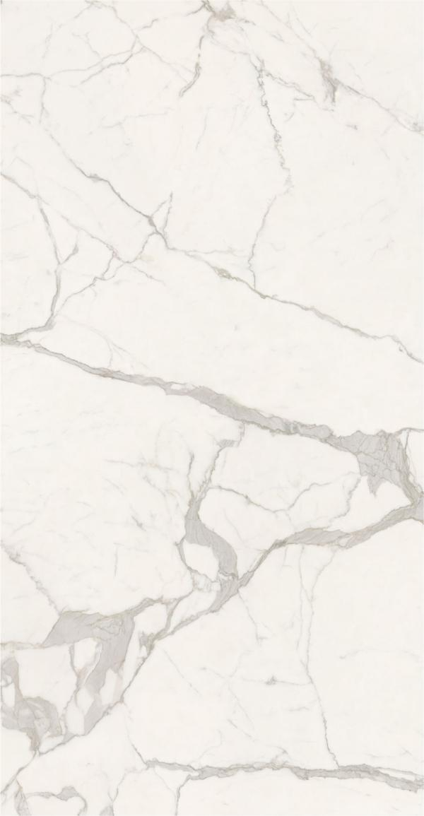 Gresie rectificata tip marmura, Anima Futura Majestic White 60X120cm, alb, finisaj lucios [2]