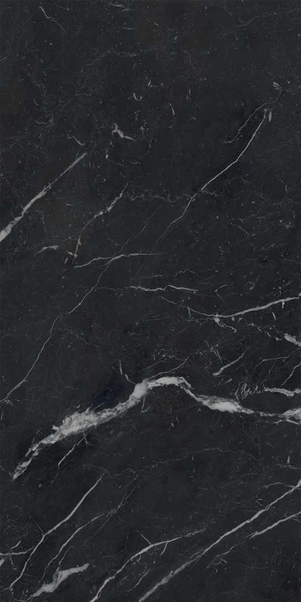 Gresie rectificata tip marmura, Anima Futura Unique Black 60X120cm, negru, finisaj lucios [2]