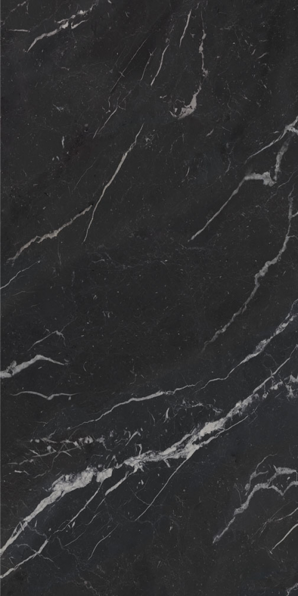 Gresie rectificata tip marmura, Anima Futura Unique Black 60X120cm, negru, finisaj mat [2]