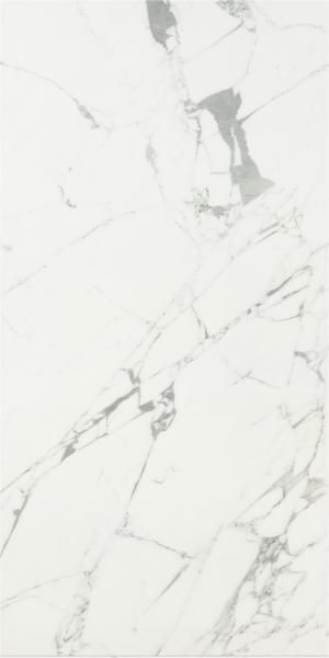 Gresie rectificata tip marmura, Anima Statuario Venato 60X120cm, alb, finisaj lucios [3]