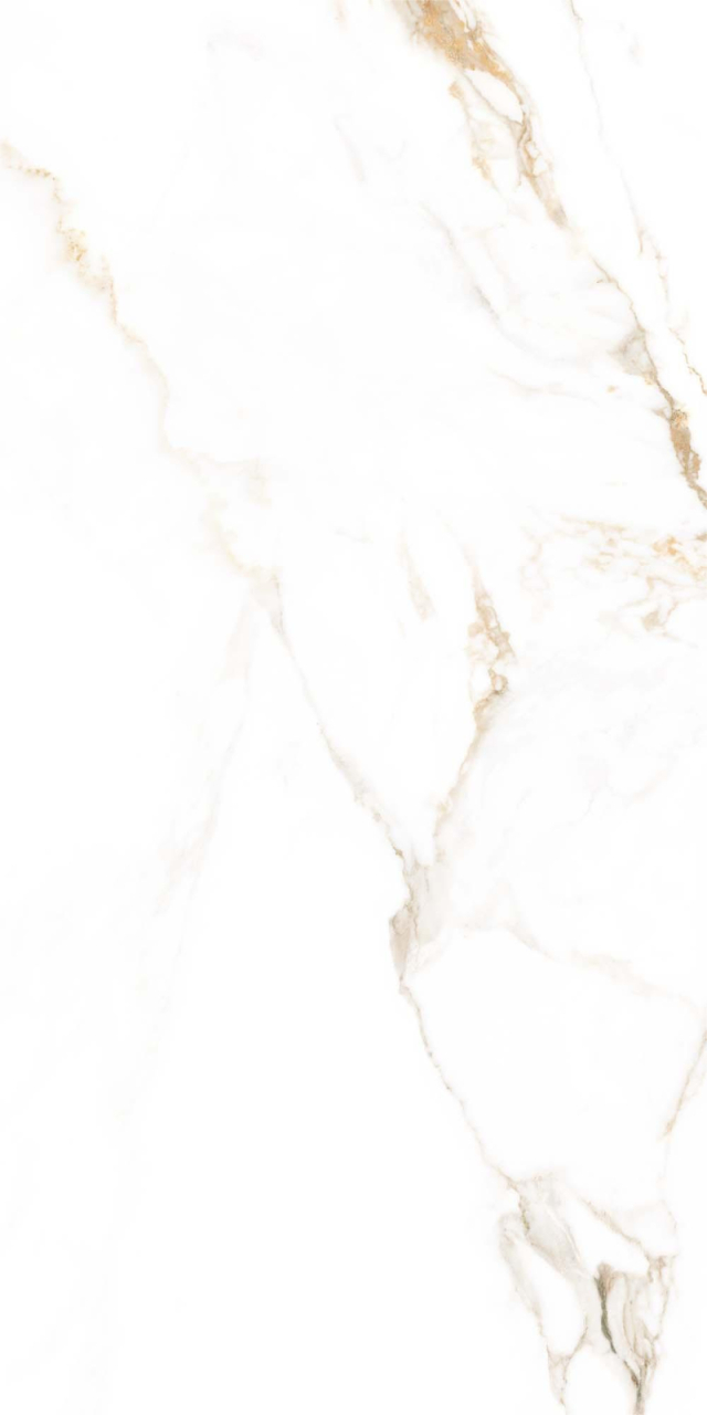 Gresie rectificata tip marmura, Breeze White Matt 60x120 cm, alb, finisaj lucios [6]