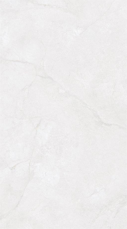 Gresie rectificata tip marmura, Metropolis Fog 71620111, 60x120 cm, gri, finisaj mat [3]