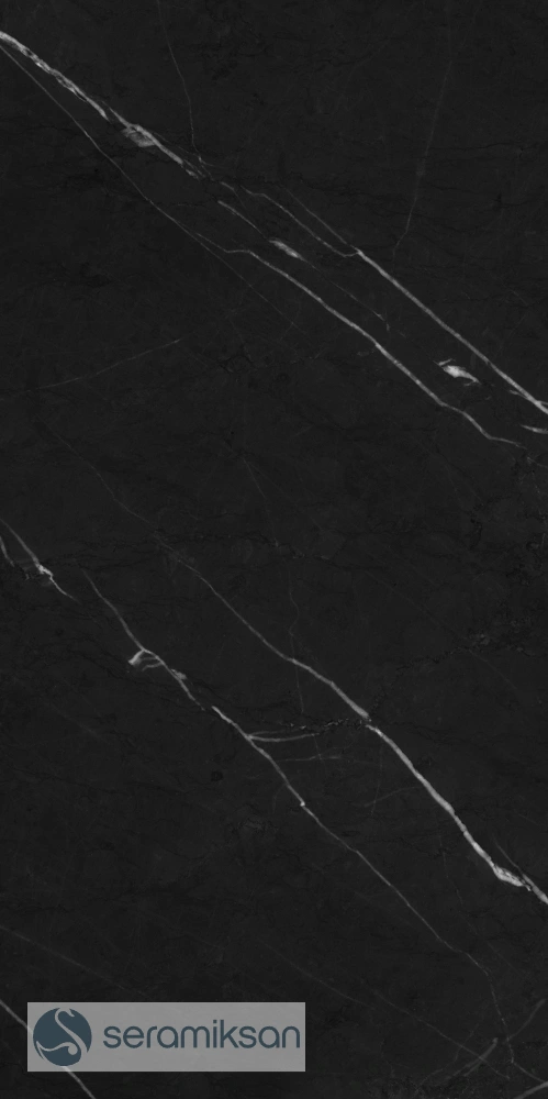 Gresie rectificata tip marmura Nat. Black Marble 93492011, 60x120 cm negru, finisaj mat [3]