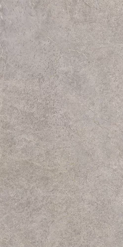 Gresie rectificata tip ciment Urban Champagne Taupe 59.8 x 119.8, gri, finisaj mat [3]