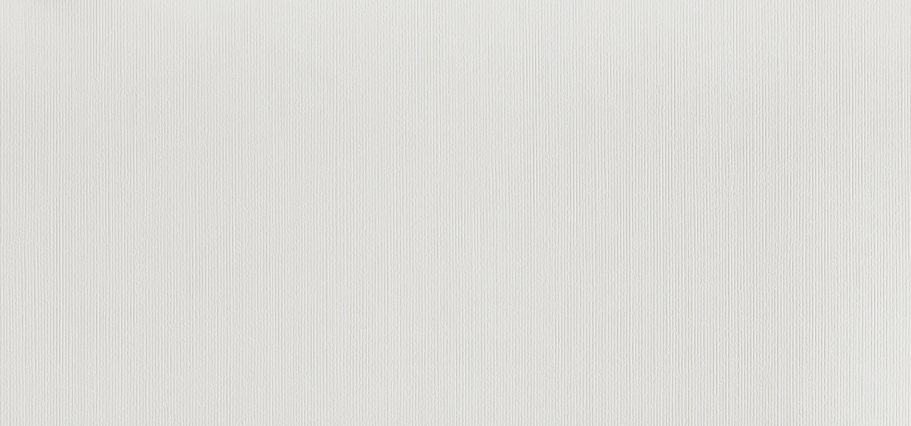 Panou de perete SPC Mono Pure Structure White Liniar WMS 512S, 117.5x280 cm, alb [3]