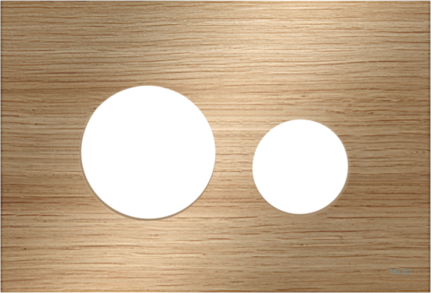 Sanitare - Placă interschimbabilă din sticlă, cu 2 trepte de acționare, 9240612, stejar