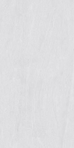 Faianta - Faianta tip piatra, Ayrona Blanco 25x50 cm, gri, finisaj mat
