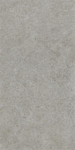 Gresie - Gresie portelanata, Boost Stone Grey Matte A6Q8 60×120 cm, gri, finisaj mat