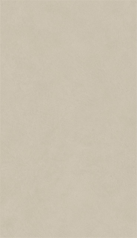 Gresie interior - Gresie portelanata, Boost Natural Pro Cinder Matte AXL9-AN6, 60×120 cm, gri-bej, finisaj mat