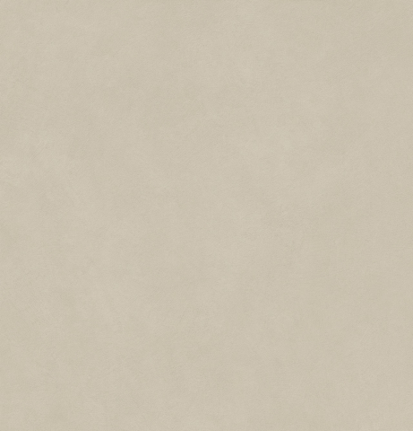 Gresie exterior - Gresie portelanata, Boost Natural Pro Cinder Matte AXL9-AN6, 120×120 cm, gri-bej, finisaj mat