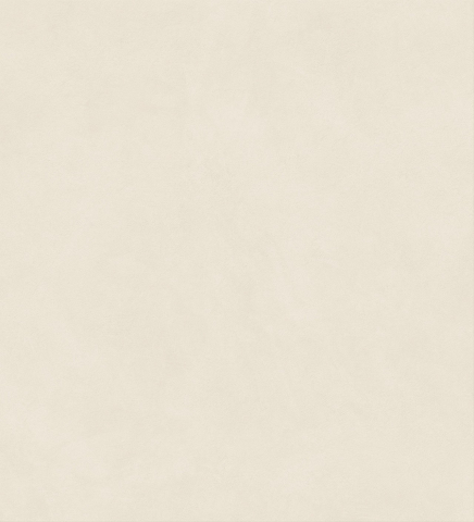 Gresie exterior - Gresie portelanata, Boost Natural Pro Salt Matte AXL6-AA6, 120×120 cm, bej, finisaj mat