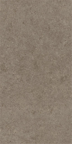 Gresie portelanata, Boost Stone Taupe Matte A6Q6 60×120 cm, maro, finisaj mat [1]