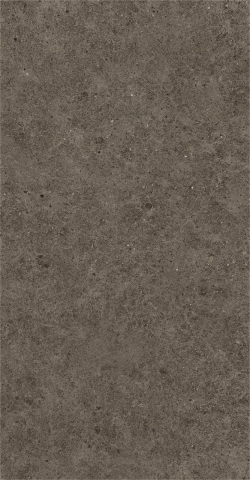 Gresie interior - Gresie portelanata, Boost Stone Tabacco Matte AHJ1-TH6, 60×120 cm, gri, finisaj mat